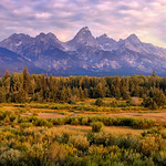 Purple Mountains Majesty