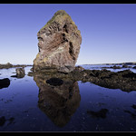 The Kip, Coldingham Bay