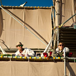 Vertical Camp Rock Stars