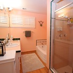 Bathroom Downstairs