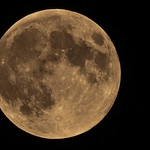 Full Moon - (500mm)