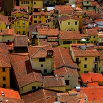 Florence Rooftops