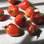 Baby Oxheart Tomatoes