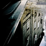 looking for beauty...