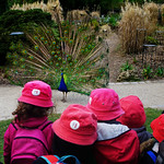 La parade (2) les spectateurs