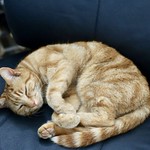 173. minding. explore