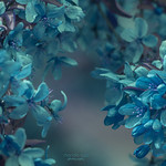 Be happy for this moment ...