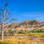 The Alberta Badlands
