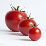 Three-mato Family - Macro Mondays theme-3