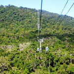 Kuranda. The Rainforest Skyrail track from Kuranda down to near Cairns on the coast. Beautiful tropical rain forest.
