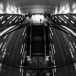 Do fish dream of the life on the land? / On top of the mountain