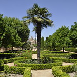 reales alcazares de c&oacute;rdoba-spain