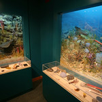 Museum of the Rockies, Bozeman, Montana