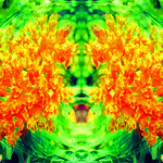 Orange Glory #hypnotique