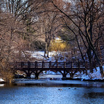 Central Park Bridge Scene