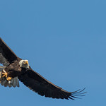 Banking With Its Meal