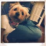 Day 19 : What You Lookin' At?