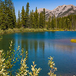 Mt. Lorette Ponds