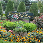 1742_Walk Around the Neighborhood