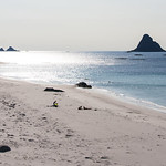 summer joys above the Arctic Circle