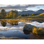 Tarn Reflections