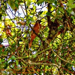 This awful shot is just for me ...