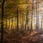 Mission accomplished