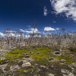 Devils Gullet, Tasmania