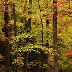 Getting Ready For Fall!