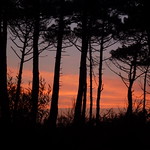 Atlantic Coast 2015 034