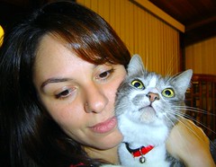 Bela & Miró, The Cat