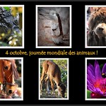 bonne journ&eacute;e &agrave; vous !