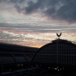 A'dam in de mogen (Septembre 2017)