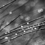 In The Cold November Rain