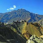 In company of an adolescent day...