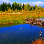 Grand Teton National Park