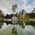 Pond of Reflected Greenery