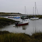 Waiting in the Winter Wind