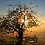 Glorious December morning