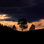 Right Place, Right Time