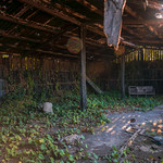 Estaci&oacute; M&oacute;ra la Nova, antiga caseta de fusta abandonada