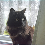 - Will there be gifts for me and Motka?