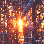 SUNBURSTS | KONDIARONK BELVEDERE | MOUNT ROYAL PARK | MONTREAL | QUEBEC | CANADA
