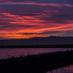 Sacramento National Wildlife Refuge