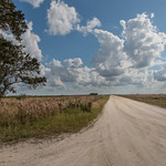 The Long Dirt Road