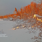 Creamer's Seasonal Pond_IMG_2637