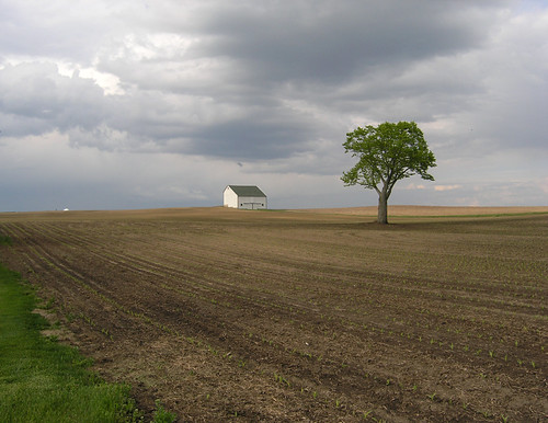 Lonely Saline Barn