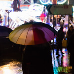 A rainy Winters Day with Norman 2017 -29