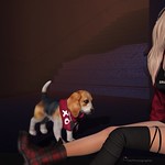 The Seasons Story Part II Flickr