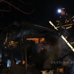 13 Dogs Perish in Hampshire Barn Fire